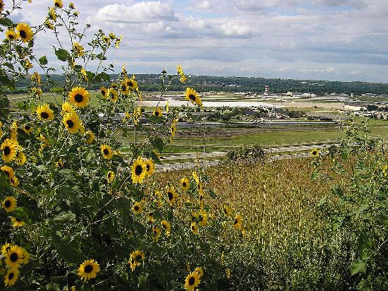 Freedom Park - Atomic Cannon-章克申城必去景点