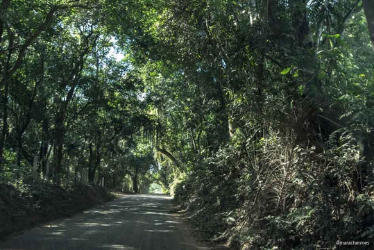 Mirante na descida do Ferrabraz
