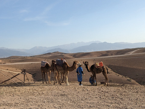 Marrakech Quad and Loc-马拉喀什必去景点