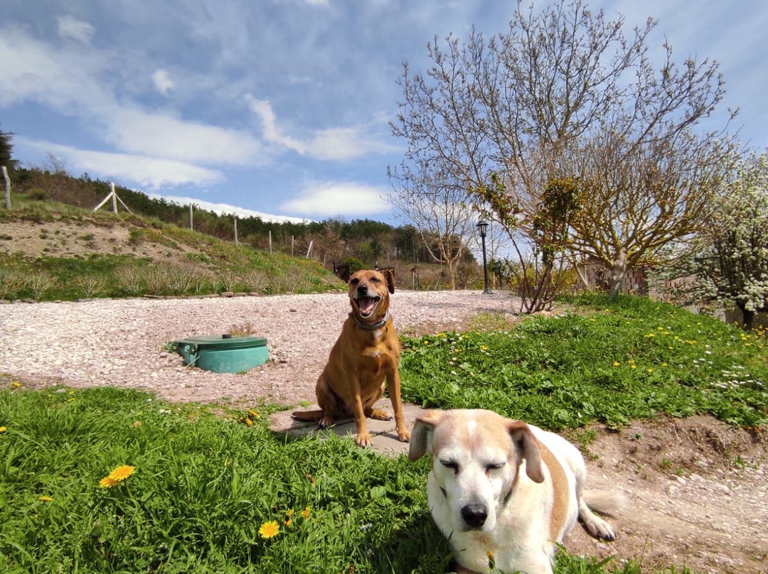 GranNoce Bed and Breakfast主图