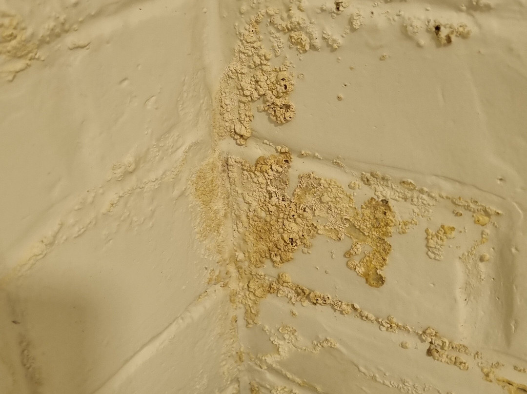 Pousada Agua Doce主图