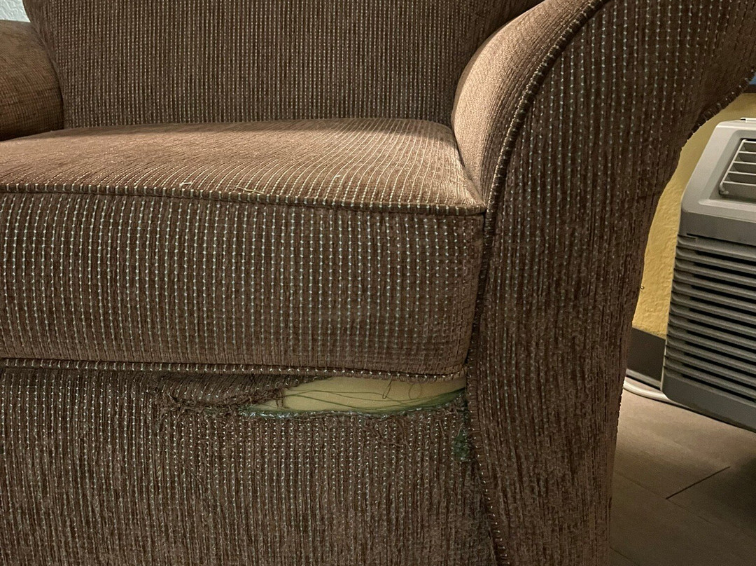 Super 8 by Wyndham Sarasota Near Siesta Key主图