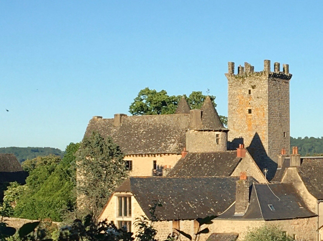 Tour du château de Sénergues-Senergues必去景点