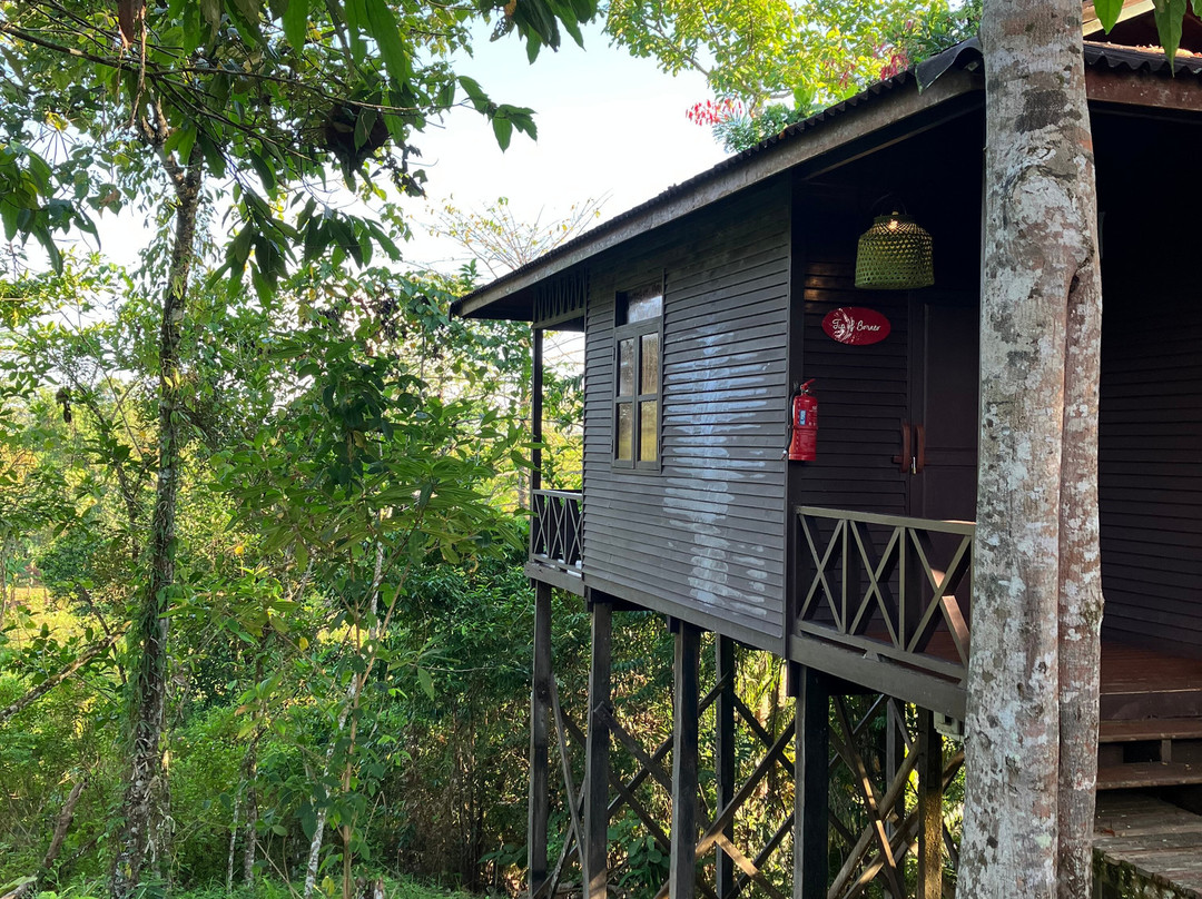 Sepilok Forest Edge Resort主图