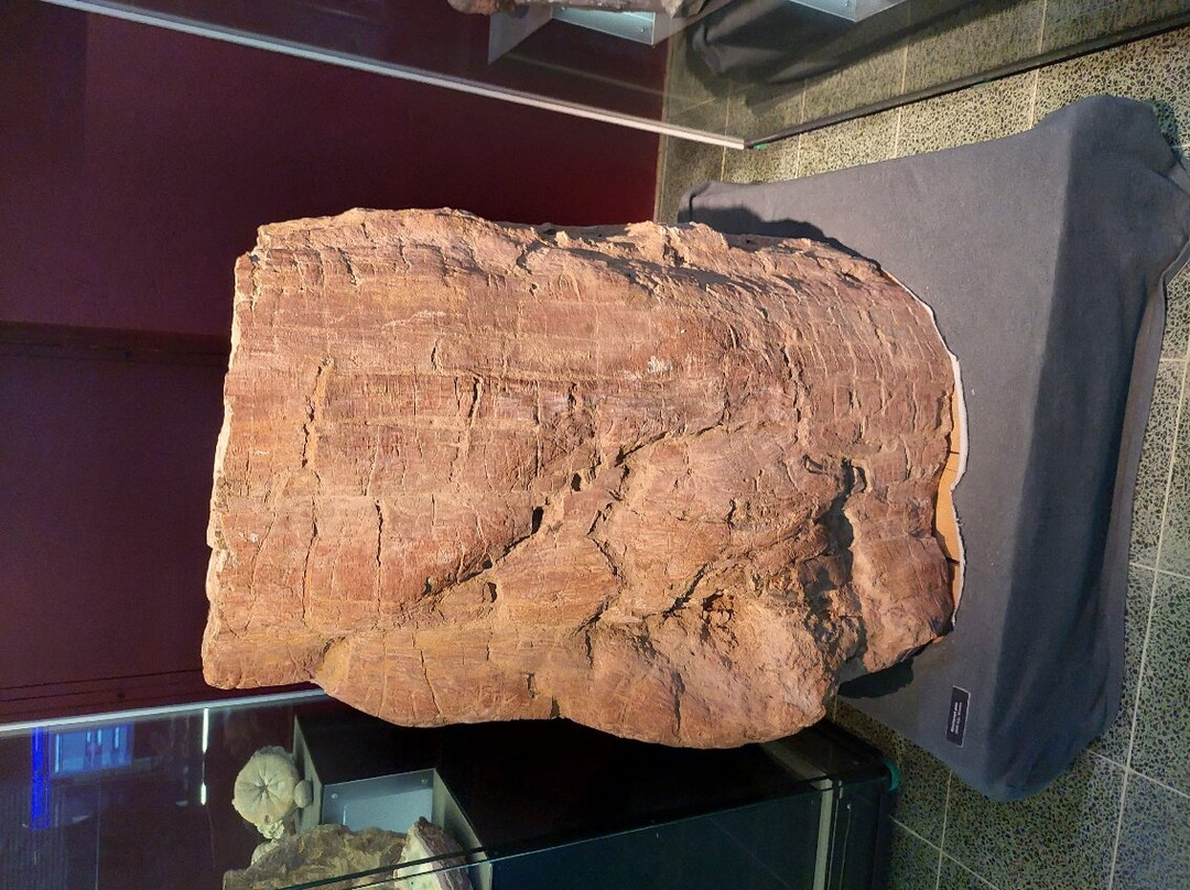 Tampere Mineral Museum-坦佩雷必去景点