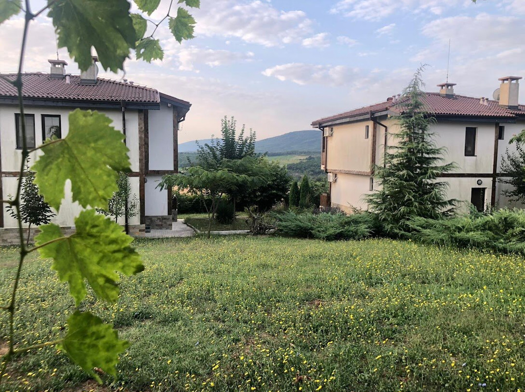 Vis Velika