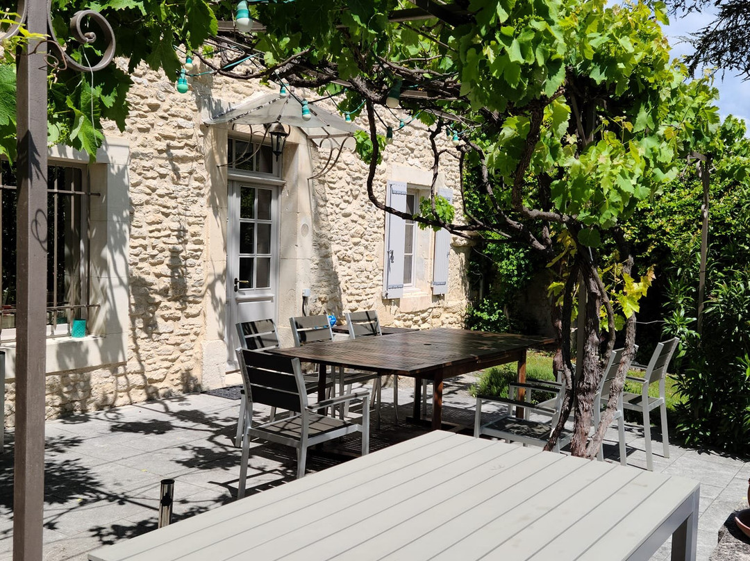 Provence Cycling Holidays主图