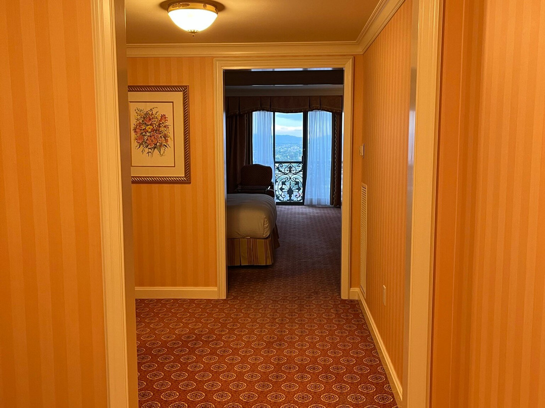 美国大酒店主图