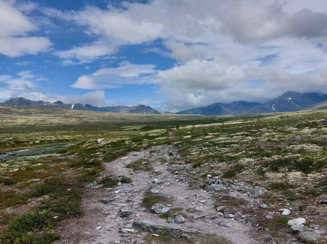 Rondane National Park-Eastern Norway必去景点