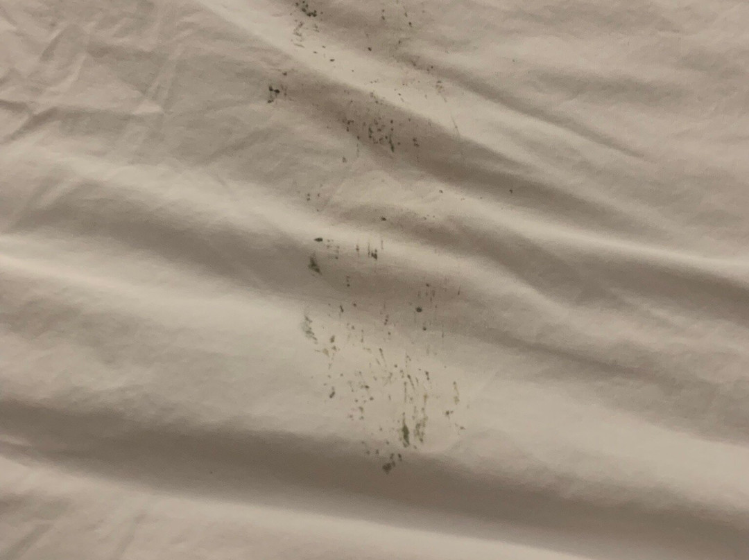 Superior Inn Hotel And Conference Centre主图