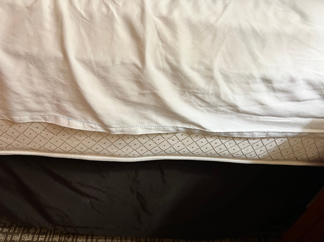 Comfort Inn & Suites Mobile Near Eastern Shore Centre主图