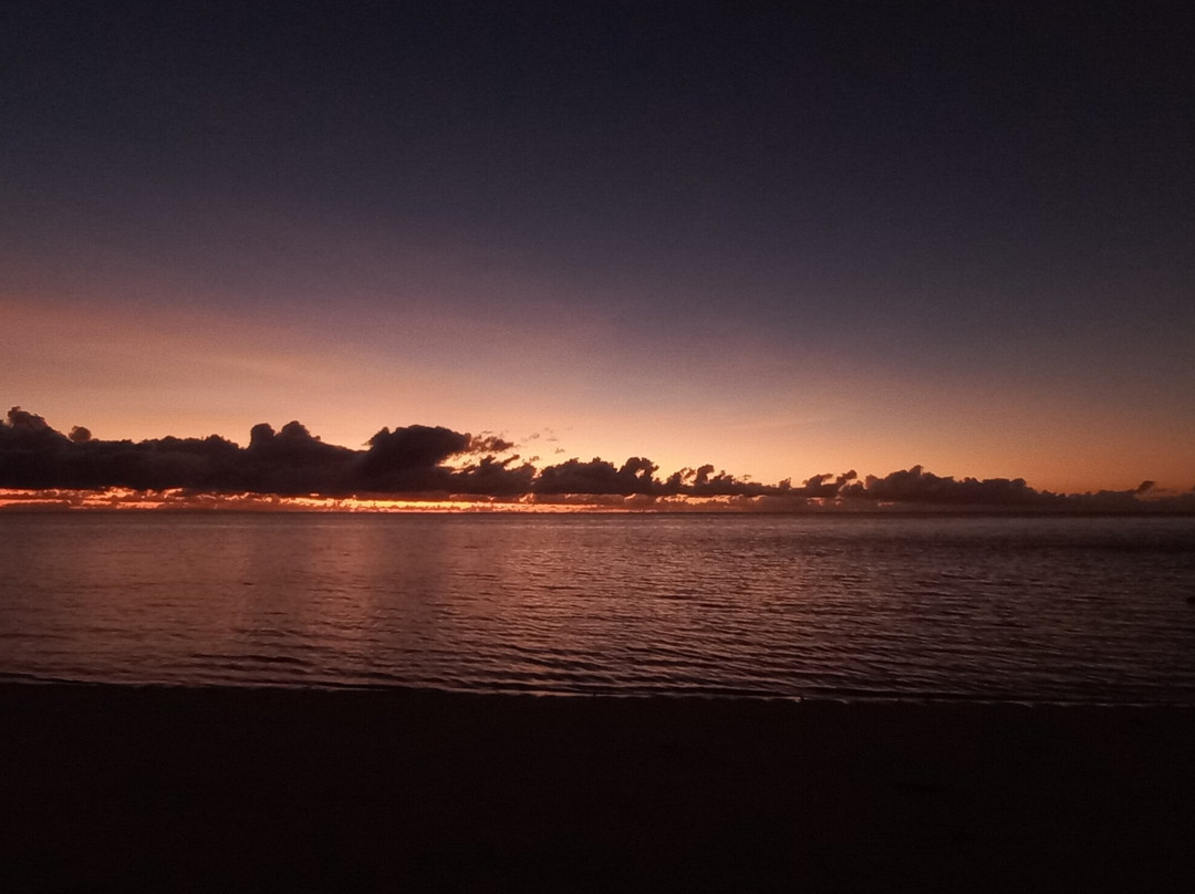 Safari Island Lodge主图