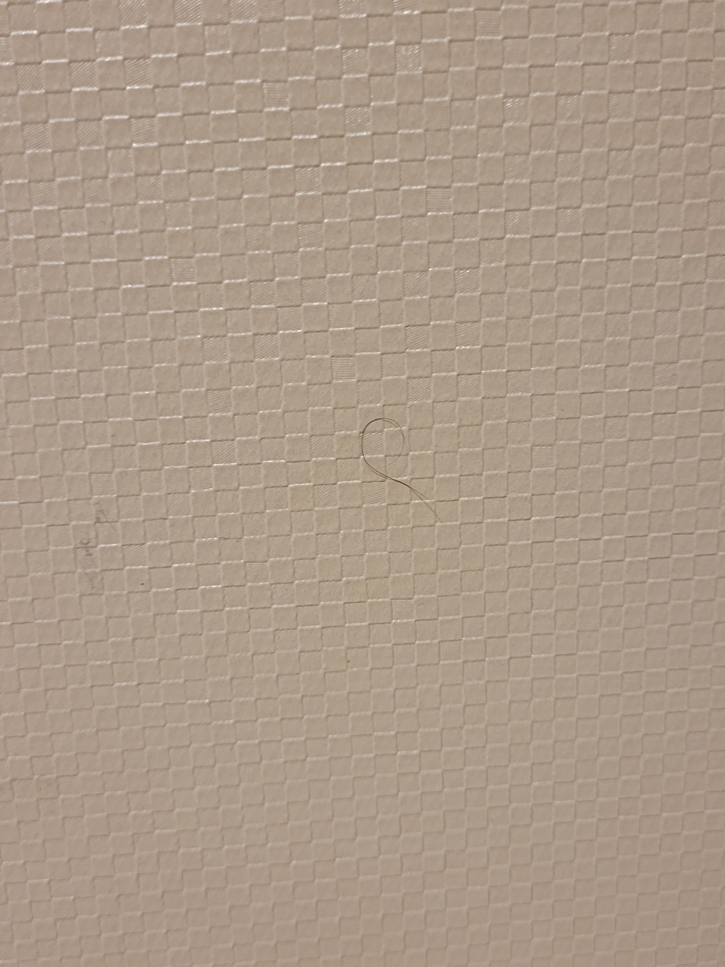 Hampton Inn Terre Haute-浴室