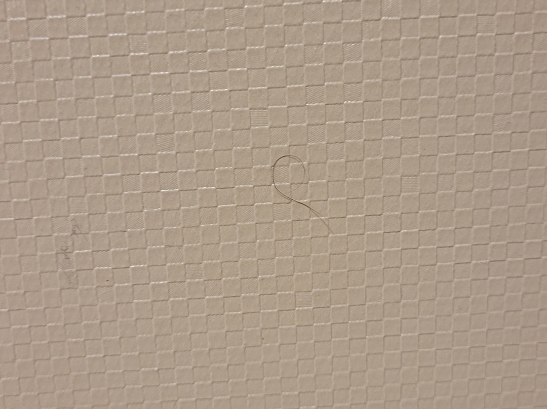 Hampton Inn Terre Haute主图