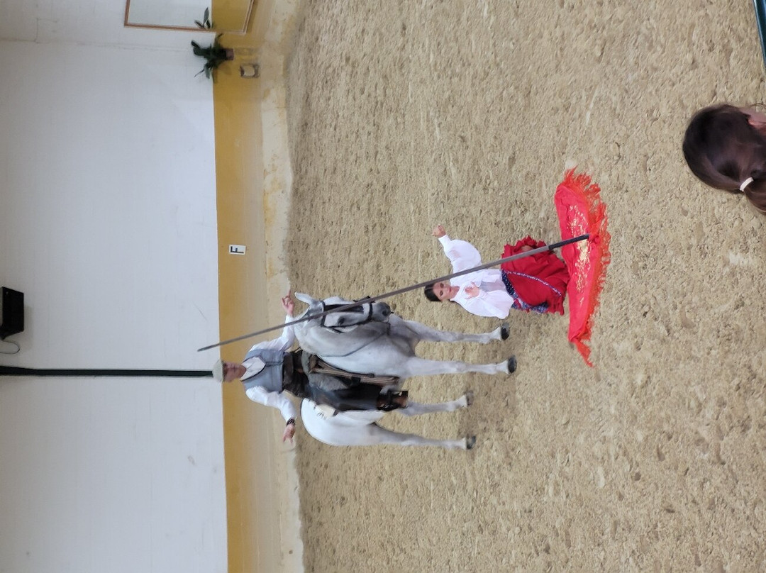 Centro de Equitacion El Ranchito-托雷莫里诺斯必去景点