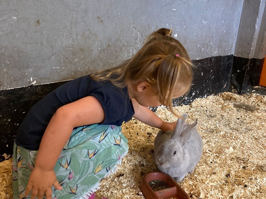 Kinderboerderij De Heuvel景点图片