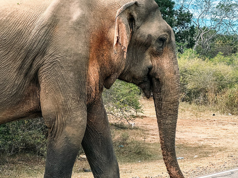 Travellia-加勒必去景点