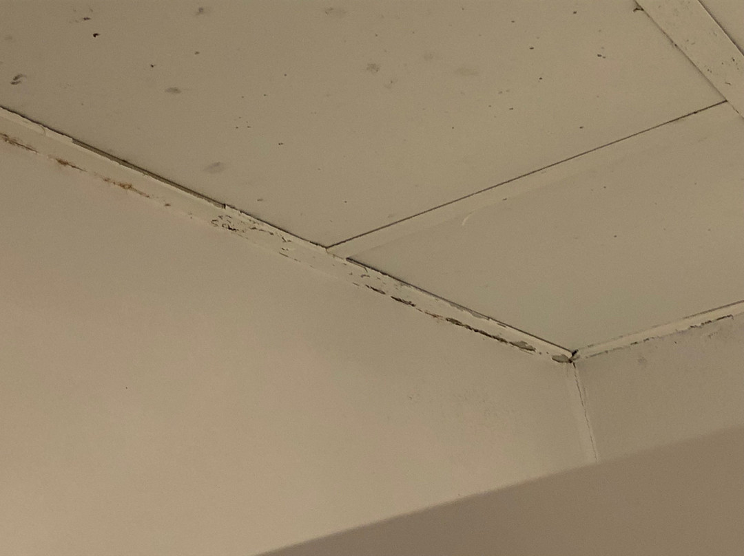 West End Motor Lodge主图