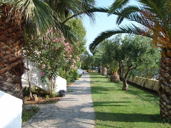 Metamorfosi Bungalows主图