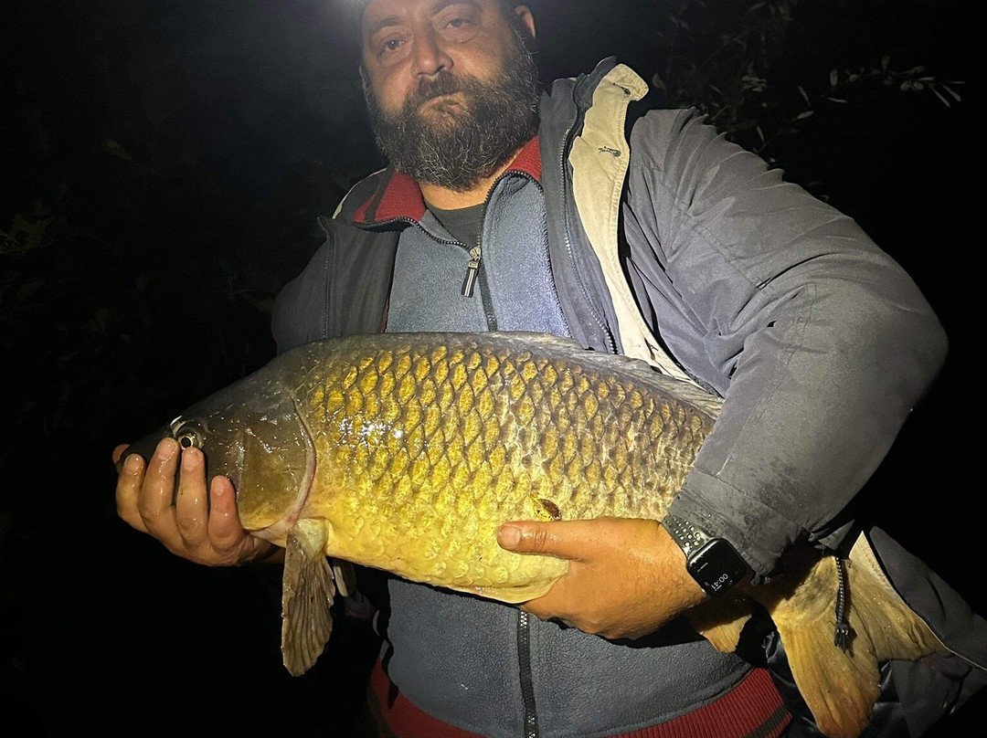 Luccombes Coarse Fishery-Exminster必去景点