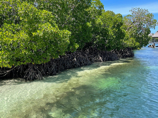 Samuel & Giulio-瓦塔木必去景点