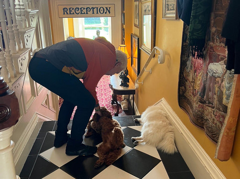 Wild Atlantic Tours-基拉尼必去景点