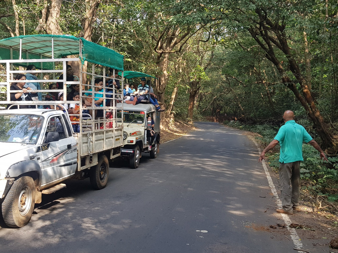 Hornbill Resort Amba主图