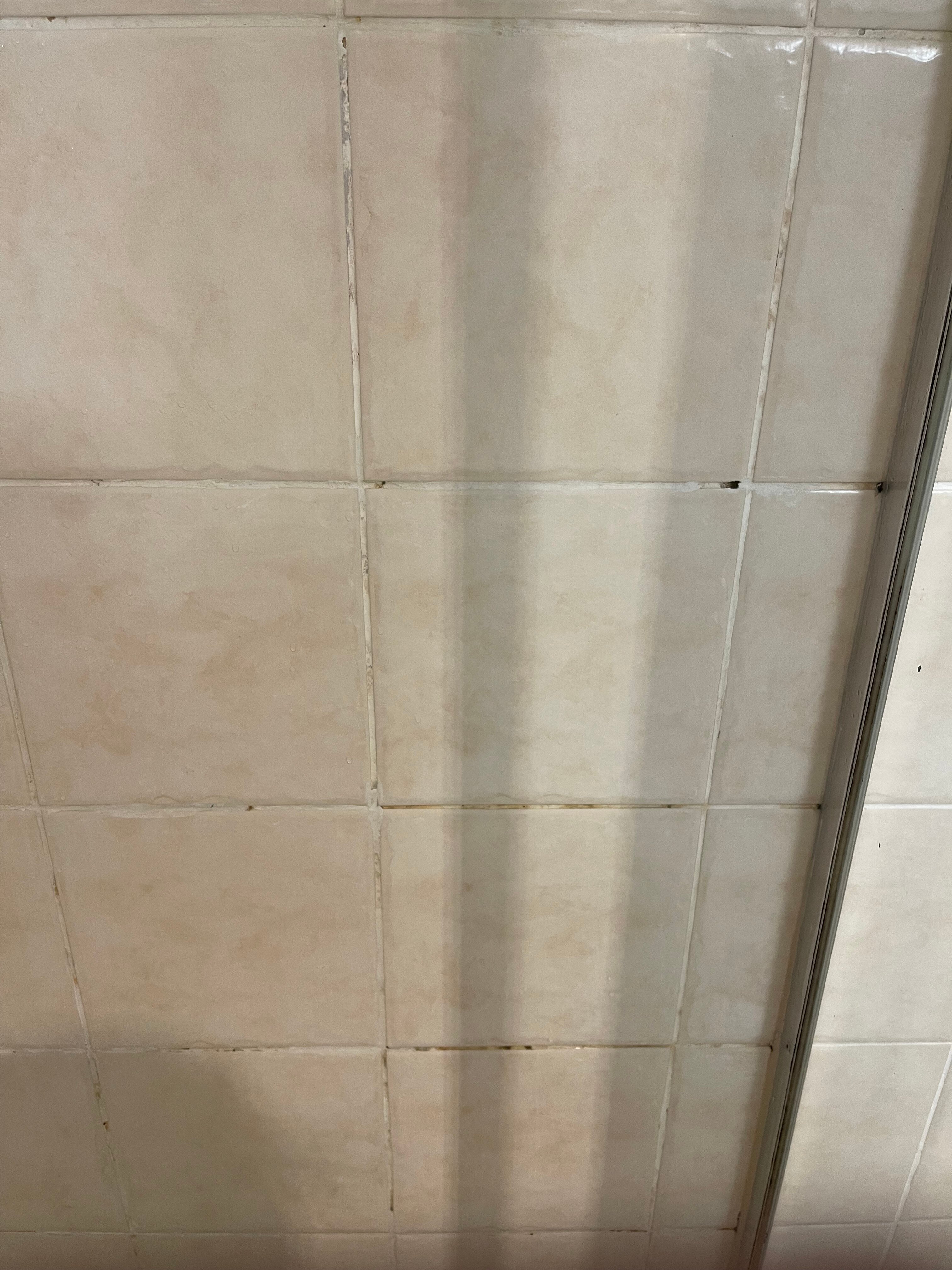 百斯特威斯登公园公寓酒店-官方