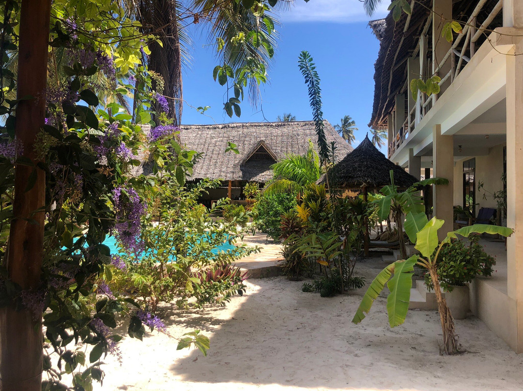 The Garden Zanzibar主图