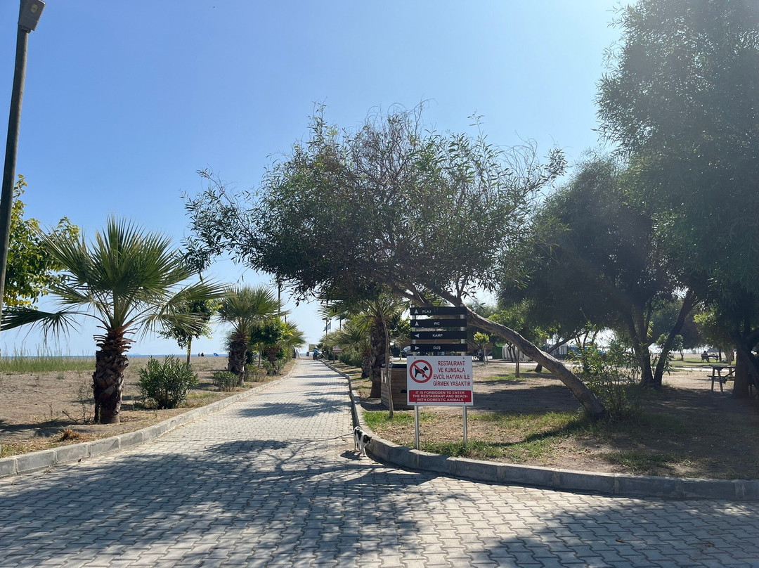 Sarigerme Public Beach景点图片