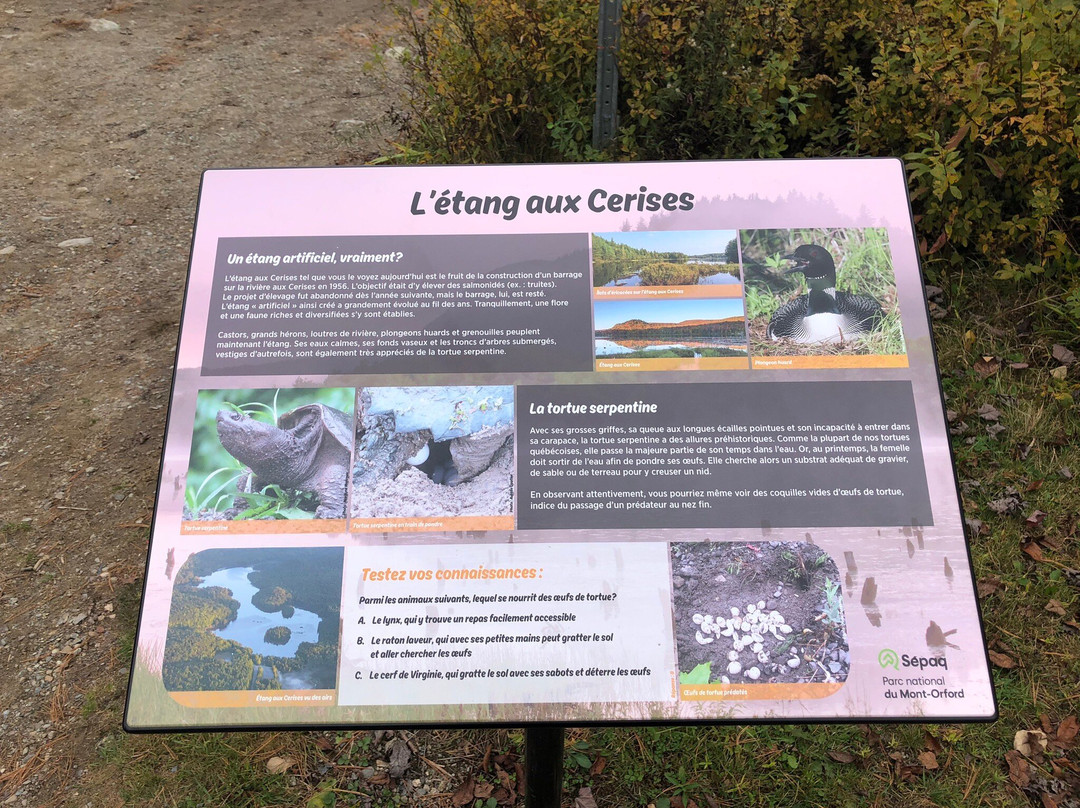 Auberge du Grand Lac主图