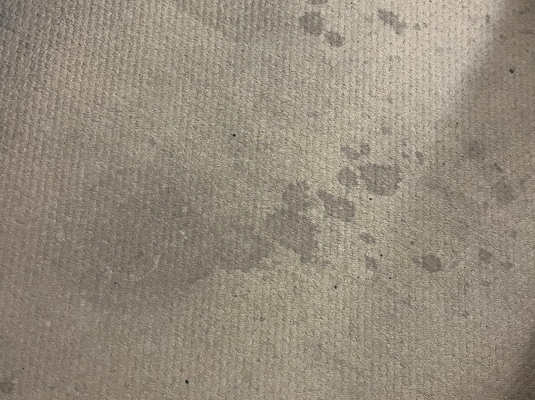 卡姆登汽车旅馆主图