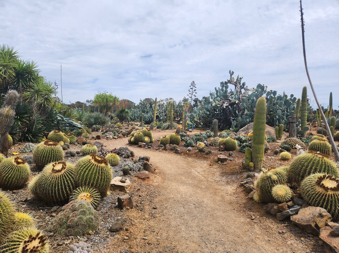 Cactus Country-Strathmerton必去景点