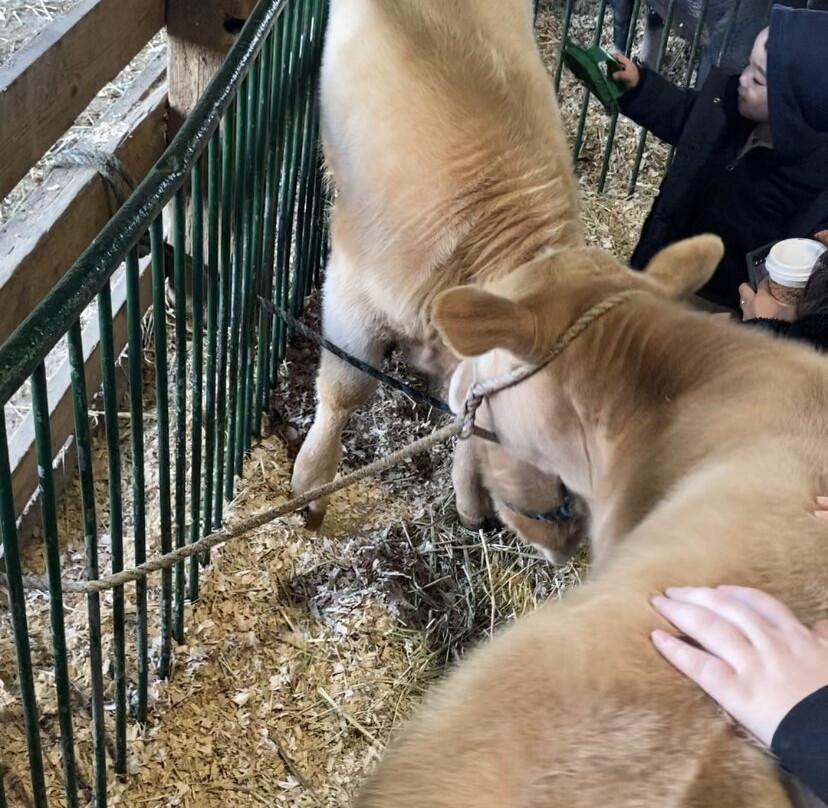 Aldor Acres Family Farm-兰里市必去景点