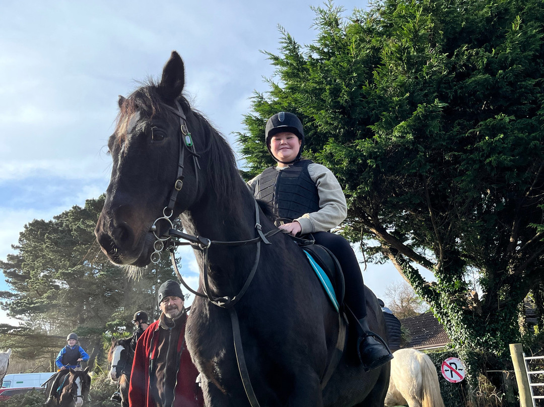 Wicklow Equi Tours-Glenealy必去景点