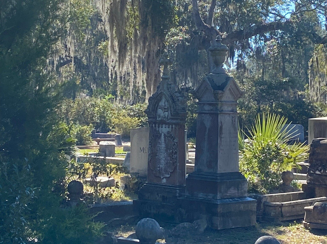 Savannah Cruzers-萨凡纳必去景点