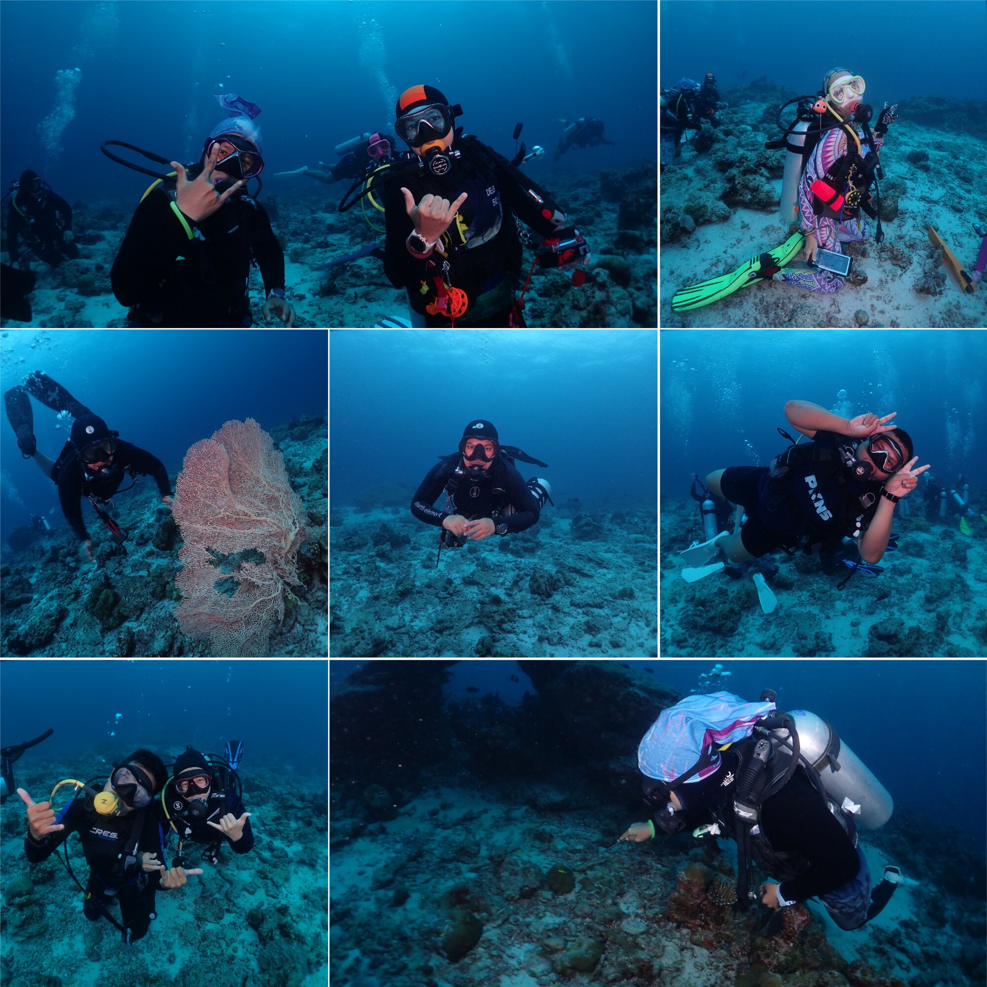 马尔代夫自由旅馆-官方