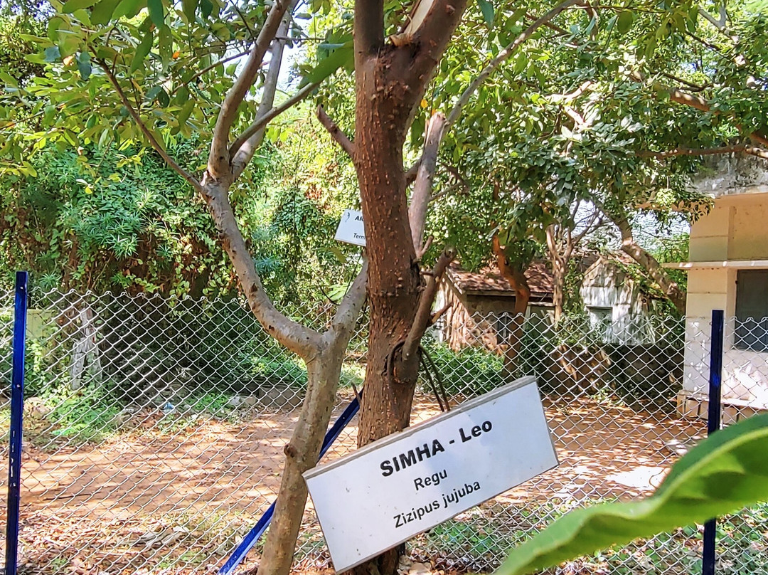 Biodiversity Park - Botanical Garden Visakhapatnam景点图片