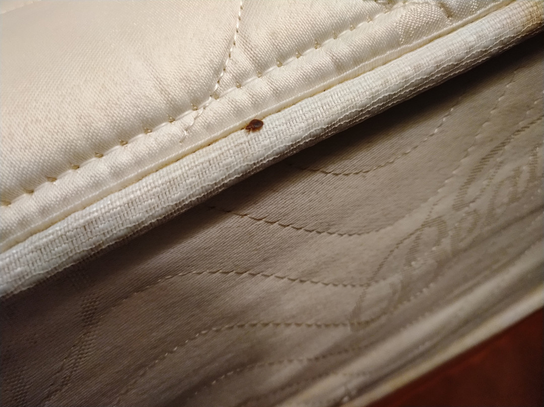 Super 8 by Wyndham Midwest City OK主图