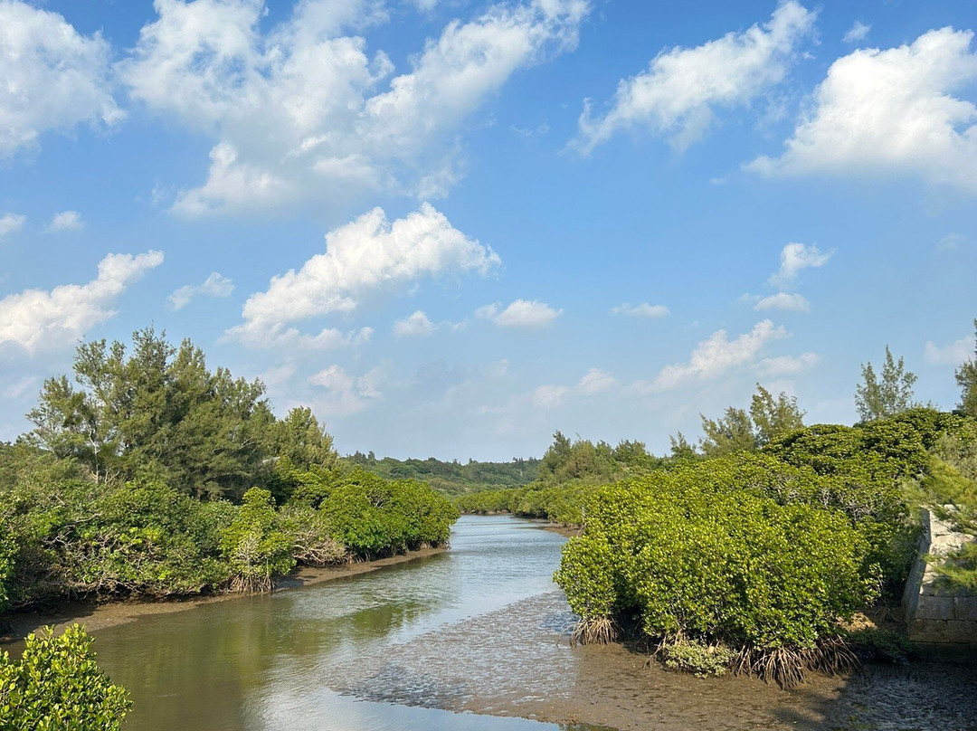 Shimajiri Mangrove Forests-宫古岛市必去景点