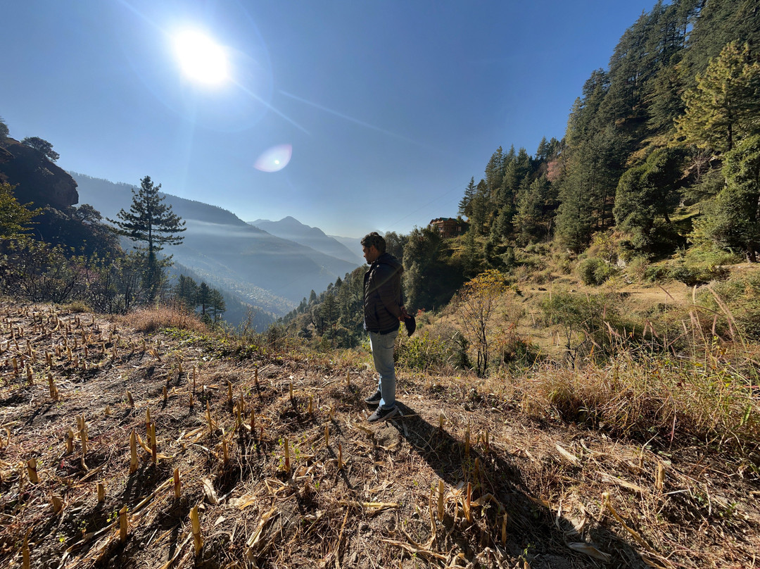 Laida Holiday Homestay主图