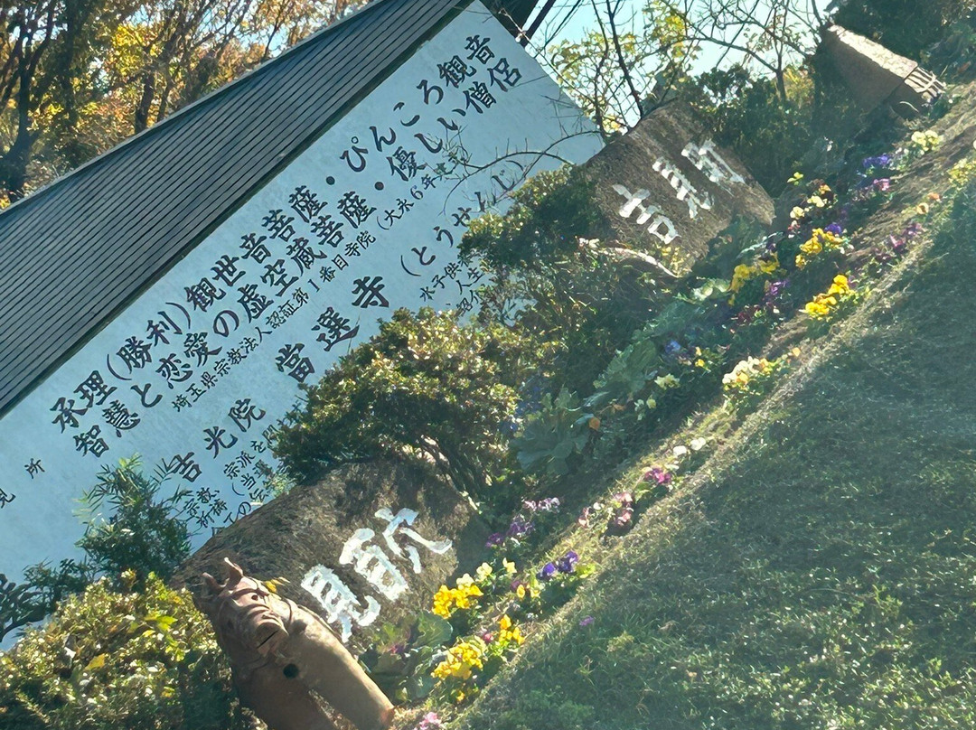 Yoshimi Hyakuana Tombs-吉见町必去景点