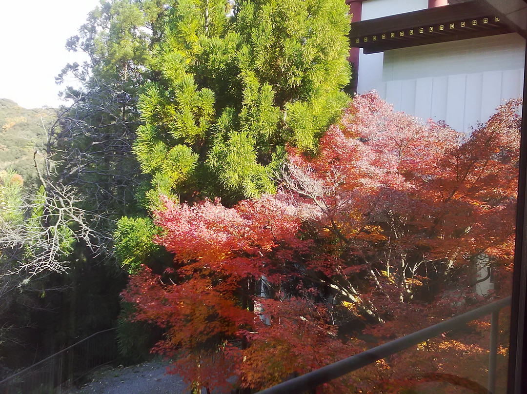 Iwazu Temmangu Shrine景点图片