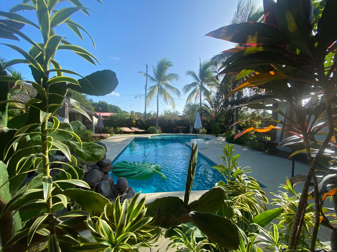 Casa Swell Coronado主图