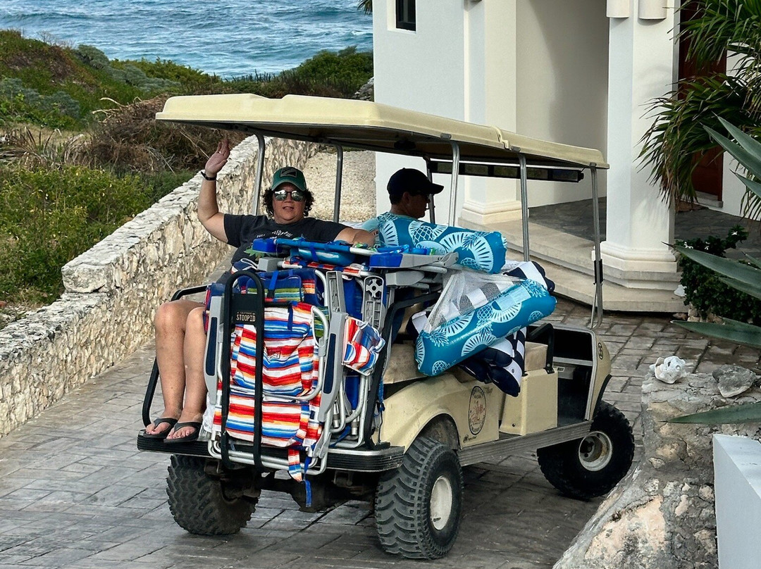 Prisma Golf Cart Rentals景点图片