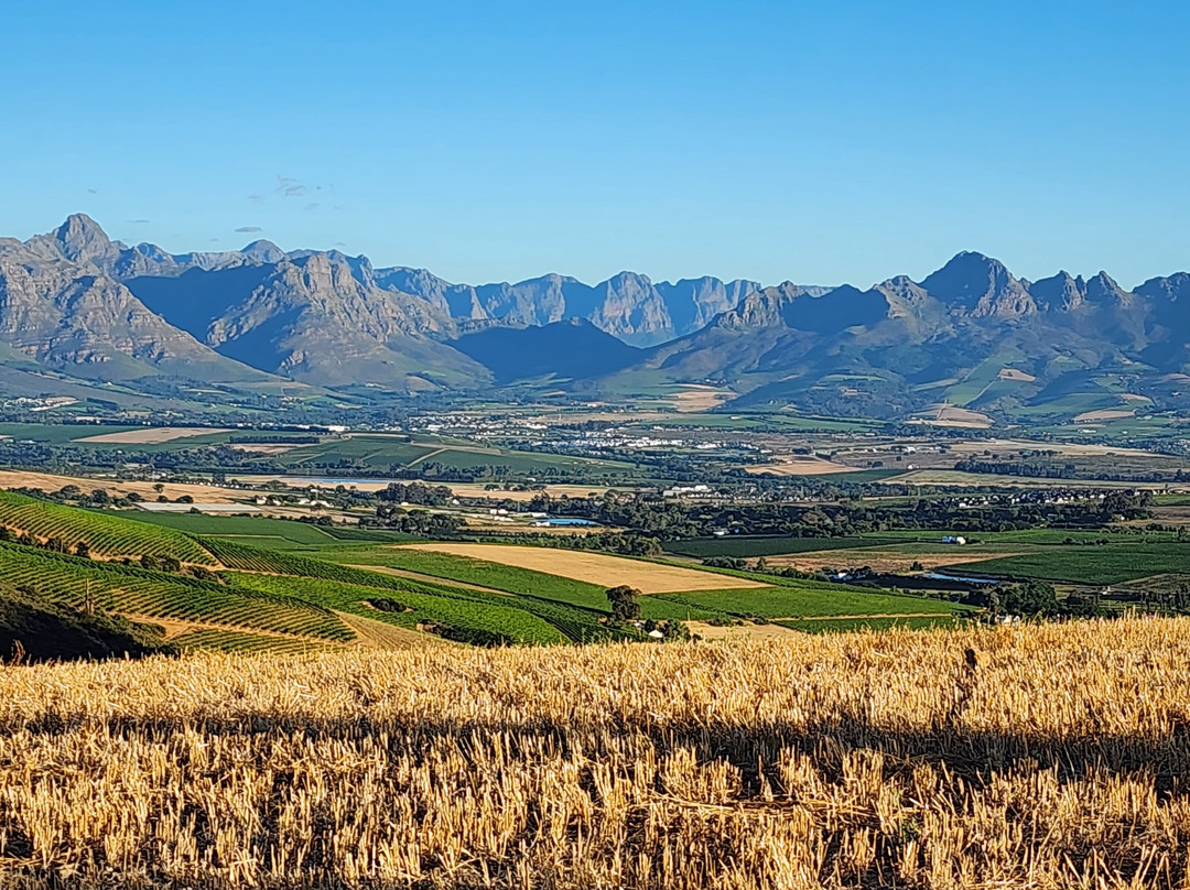 Mooiplaas Wine Estate-斯泰伦博斯必去景点