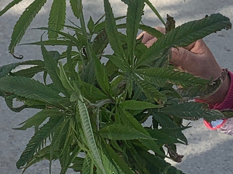 Travel New Land-河内必去景点