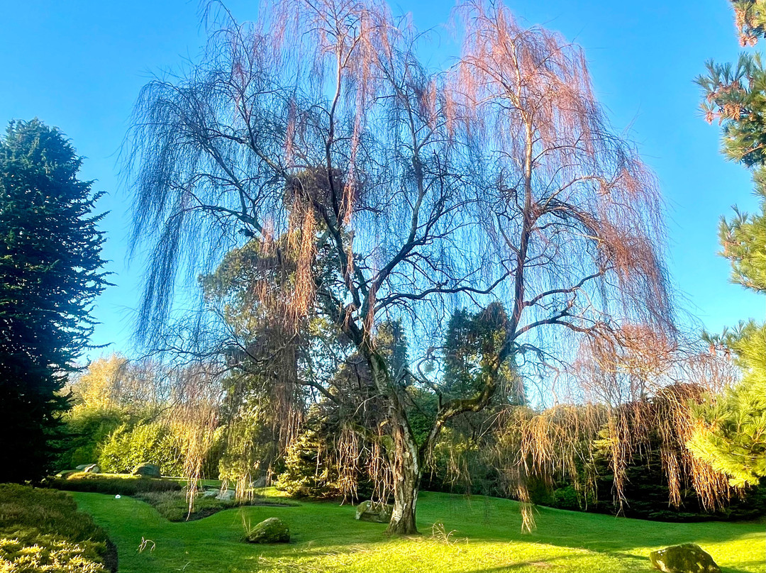 Hazlehead Park-阿伯丁必去景点