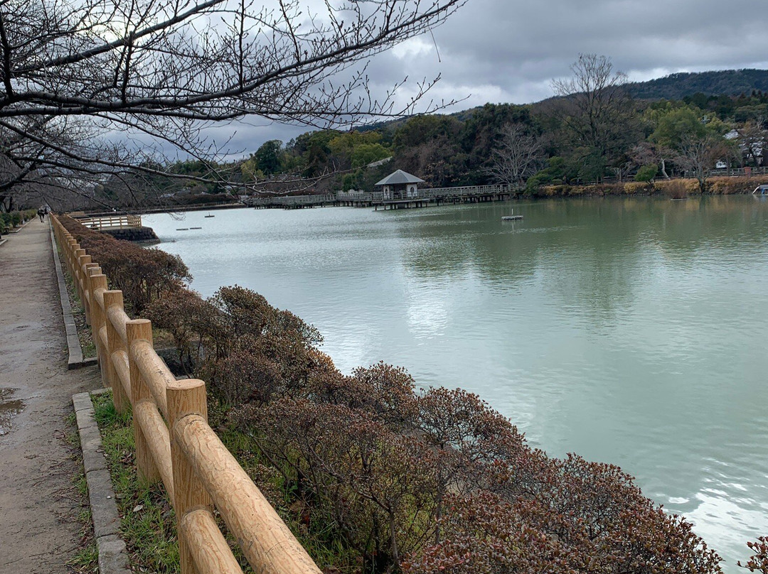 Hachijogaike景点图片
