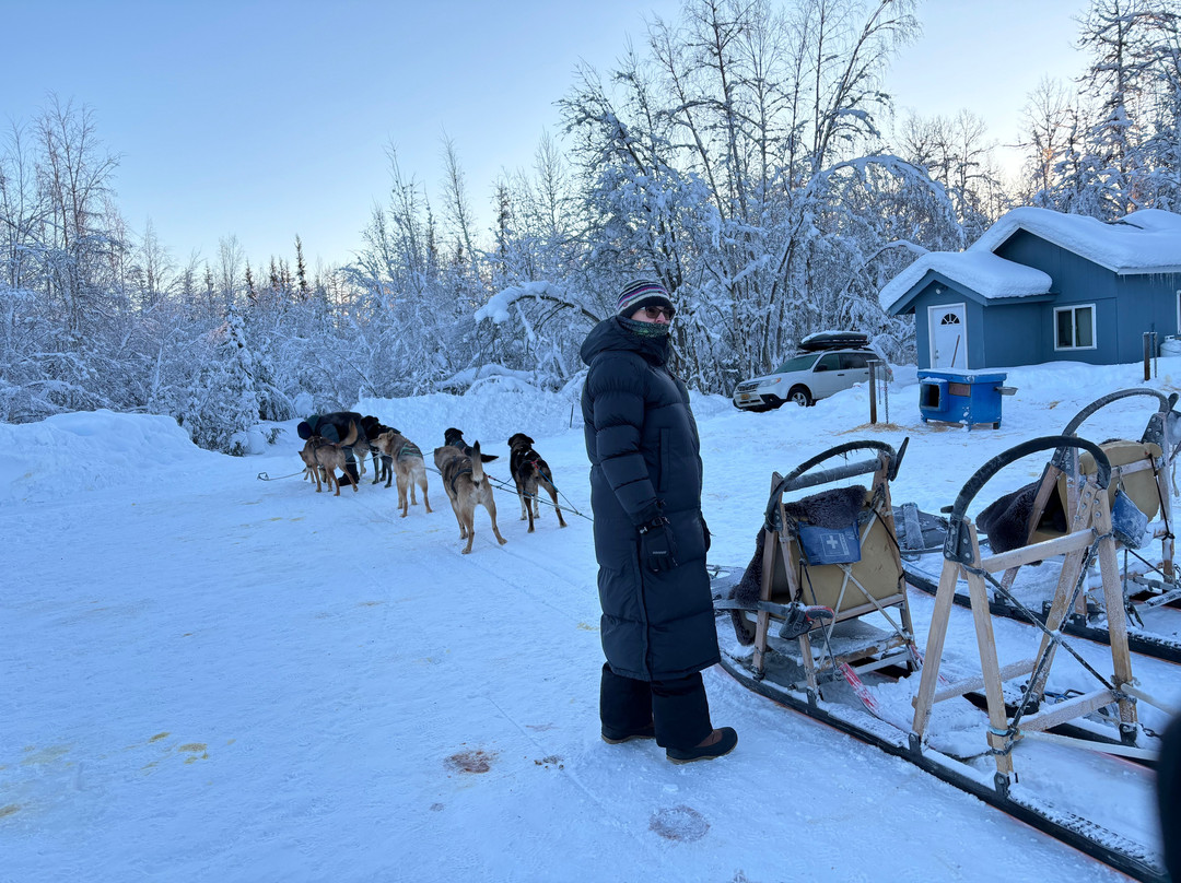 Alaskan Husky Adventures-安克雷奇必去景点